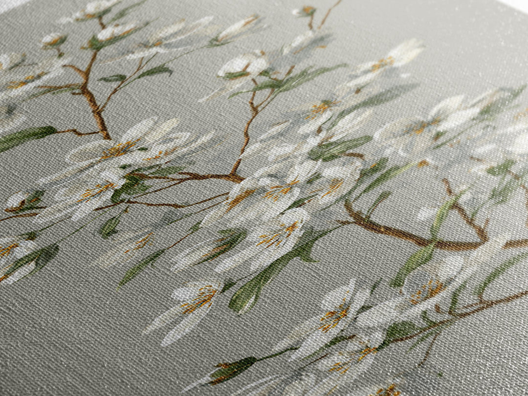 Fresh Cotton Branch Botanical Study Canvas Print, Laundry Room Art, Minimalist Wall Art, Living Room Decor, Fine Art, Clean, LRA-1x3-67
