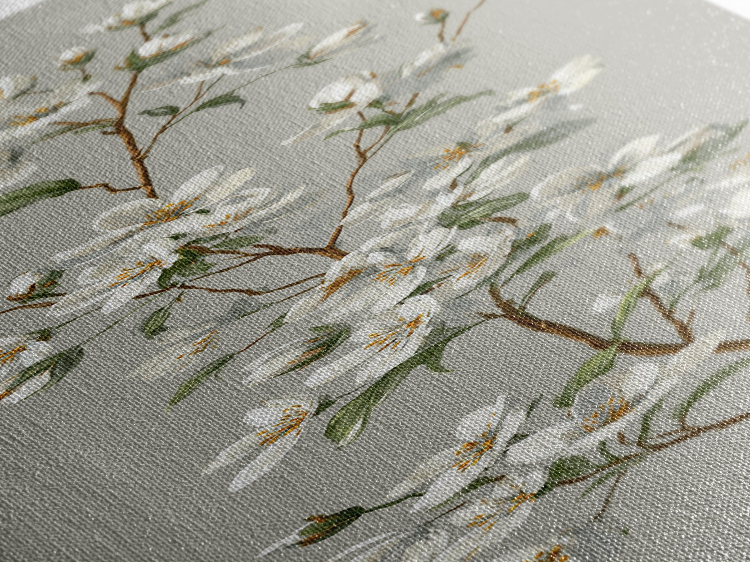 Fresh Cotton Branch Botanical Study Canvas Print, Laundry Room Art, Minimalist Wall Art, Living Room Decor, Fine Art, Clean, LRA-1x3-67