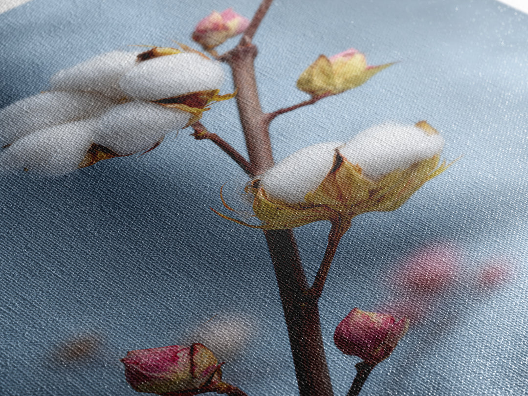 Fresh Cotton Branch Botanical Study Canvas Print, Laundry Room Art, Gallery Decor, Living Room Decor, Oil Painting, Clean, LRA-2x3-15