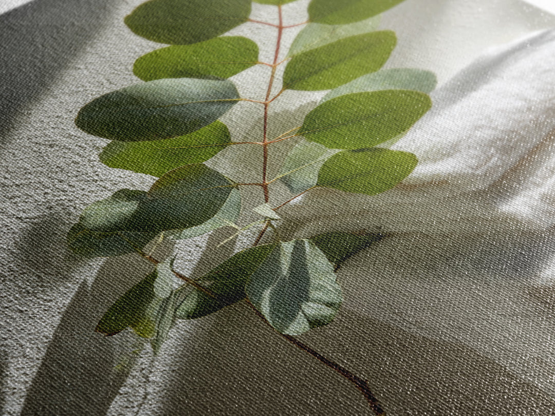 Sunlit White Towels and Eucalyptus Branch Framed Canvas Print, Laundry Room Art, Neutral Decor, Living Room Decor, LRA-2x3-19