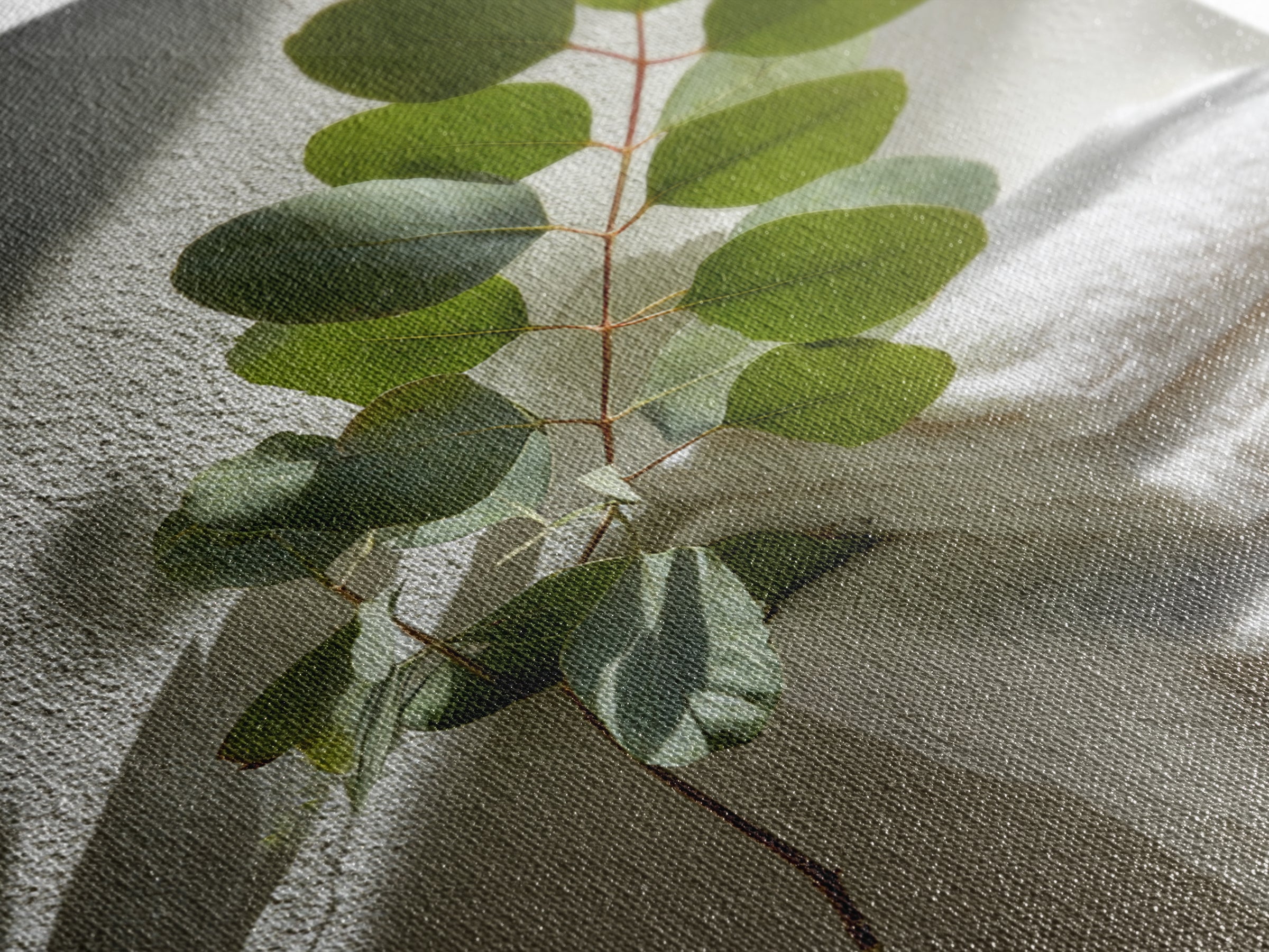 Sunlit White Towels and Eucalyptus Branch Framed Canvas Print, Laundry Room Art, Neutral Decor, Living Room Decor, LRA-2x3-19