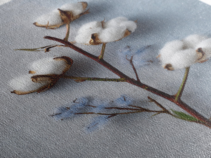Fresh Cotton Branch Botanical Study Framed Canvas Print, Laundry Room Art, Printable Wall Art, Living Room Decor, Clean, LRA-2x3-63