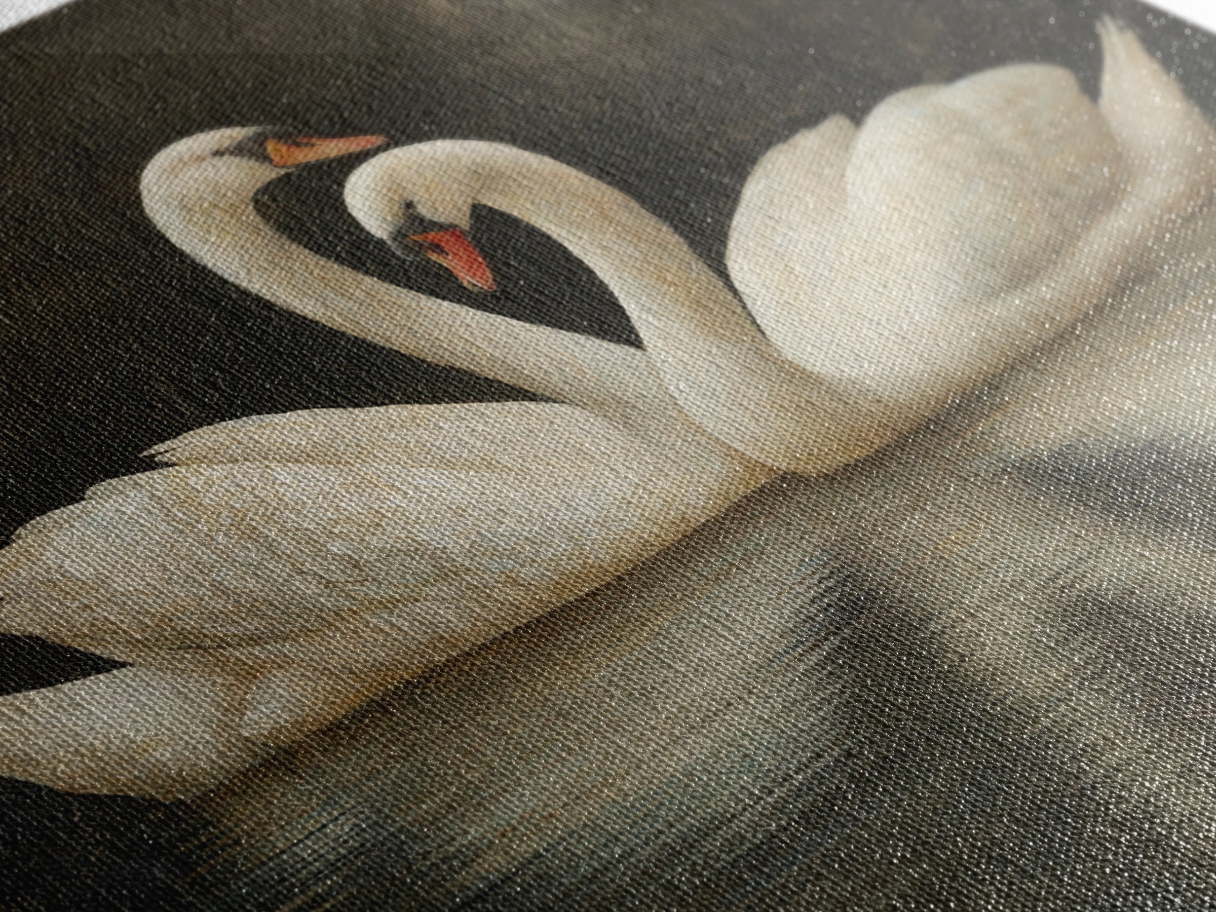 Romantic Swan Pair on Dark Water Canvas Print, Master Bedroom, Farmhouse Wall Decor, Bedroom Decor, Oil Painting, Sanctuary, MAS-1x1-15