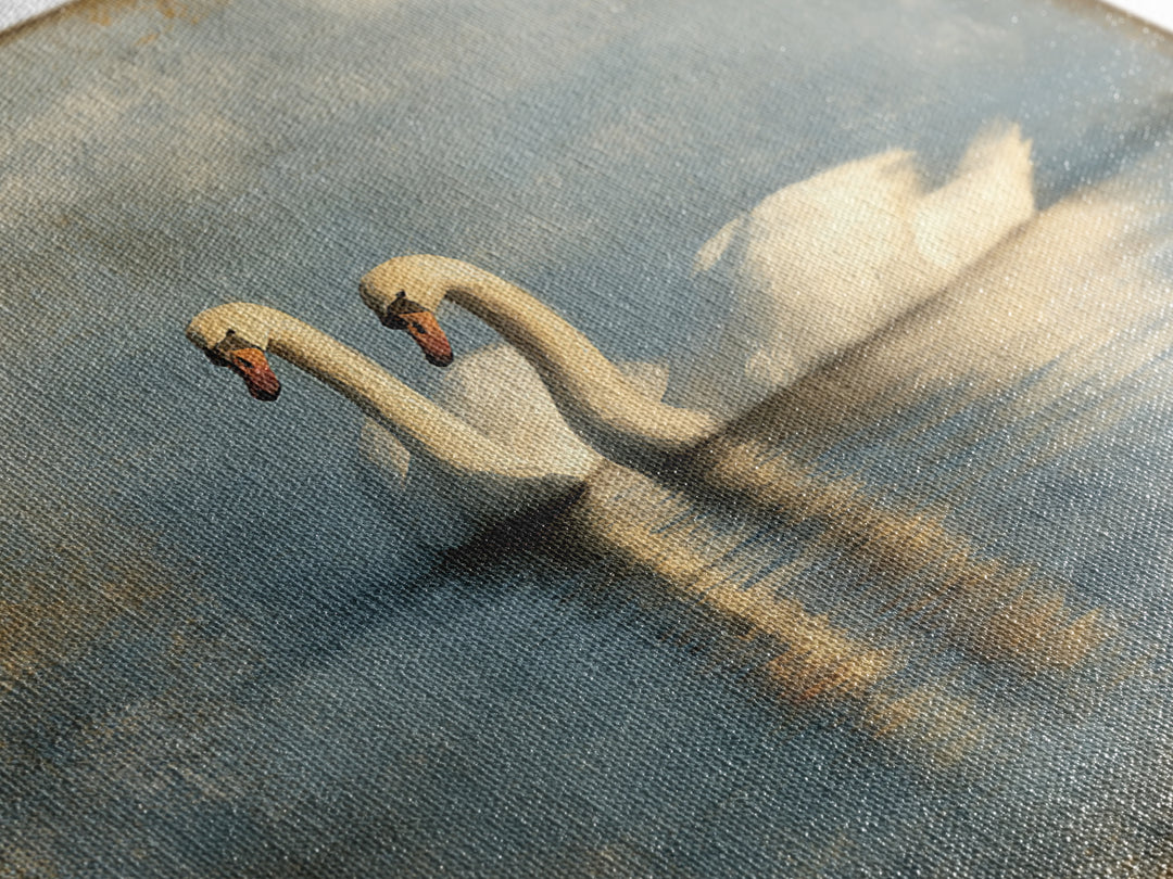 Romantic Swan Pair on Dark Water Framed Canvas Print, Master Bedroom, Living Room Prints, Bedroom Decor, Fine Art, Sanctuary, MAS-1x1-39