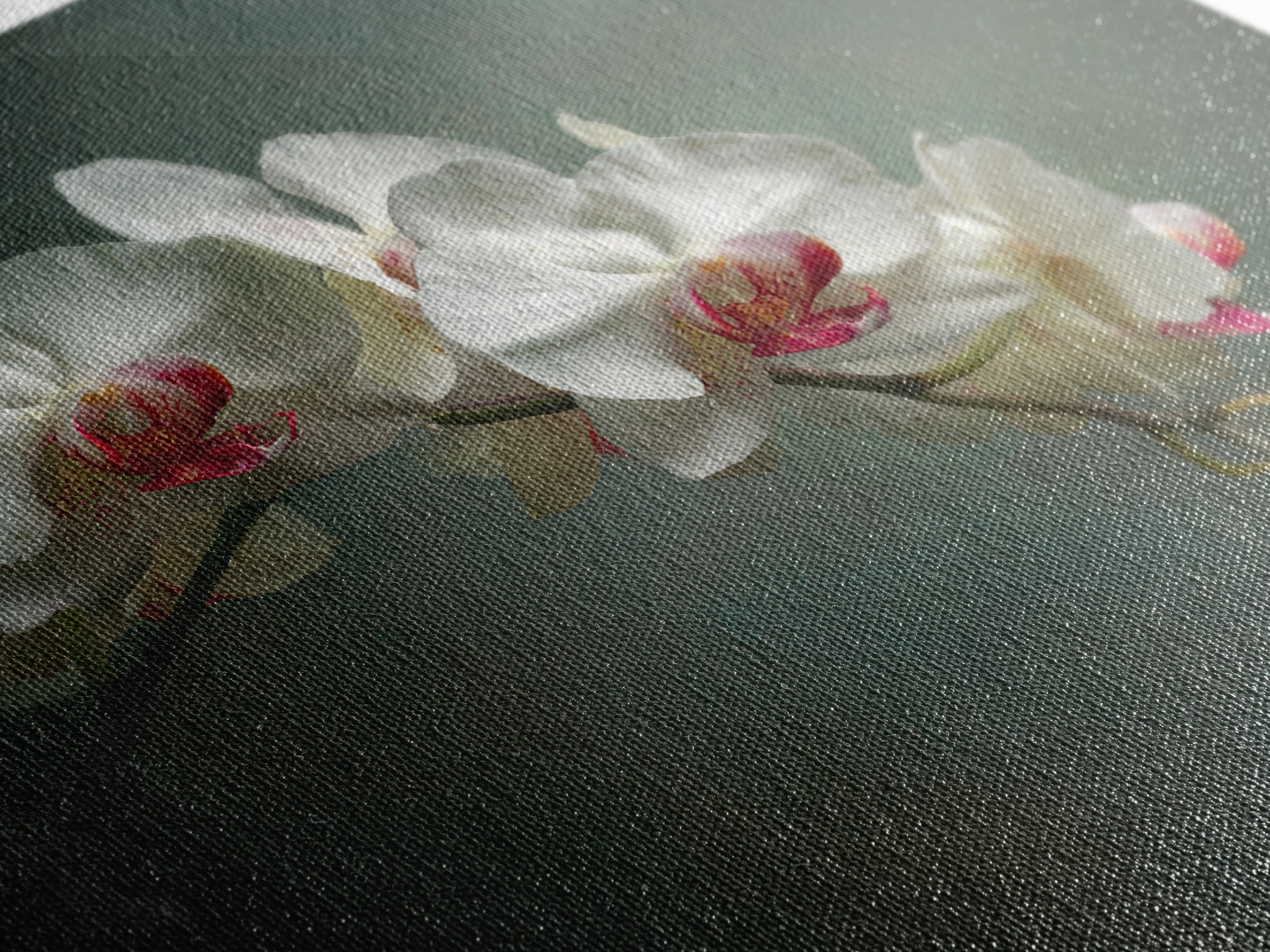 White Orchids Against Warm Gray Background Framed Canvas Print, Master Bedroom, Bedroom Decor, Abstract Art, Sanctuary, MAS-1x1-57