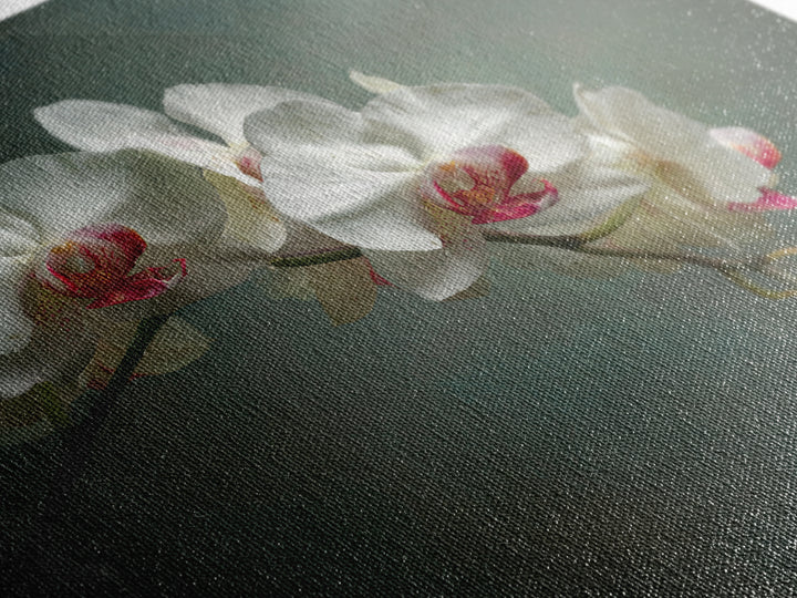 White Orchids Against Warm Gray Background Framed Canvas Print, Master Bedroom, Bedroom Decor, Abstract Art, Sanctuary, MAS-1x1-57