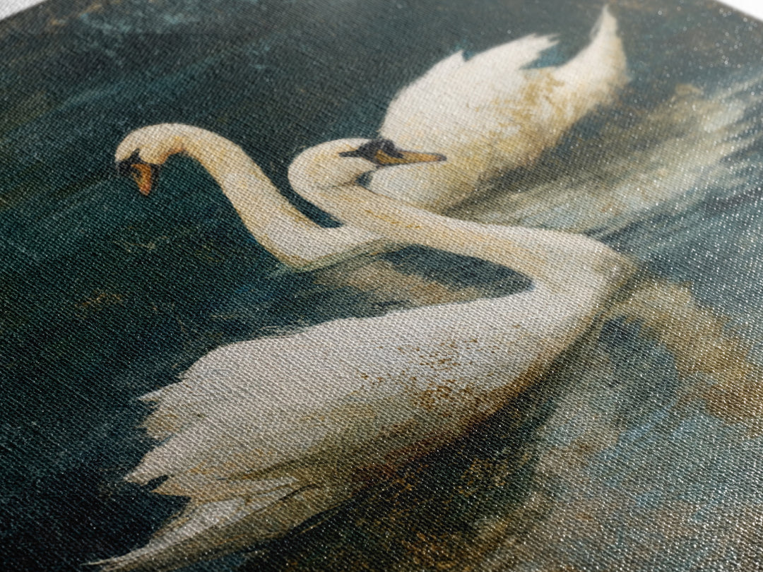 Romantic Swan Pair on Dark Water Framed Canvas Print, Master Bedroom, Neutral Decor, Bedroom Decor, Fine Art, Sanctuary, MAS-1x1-63