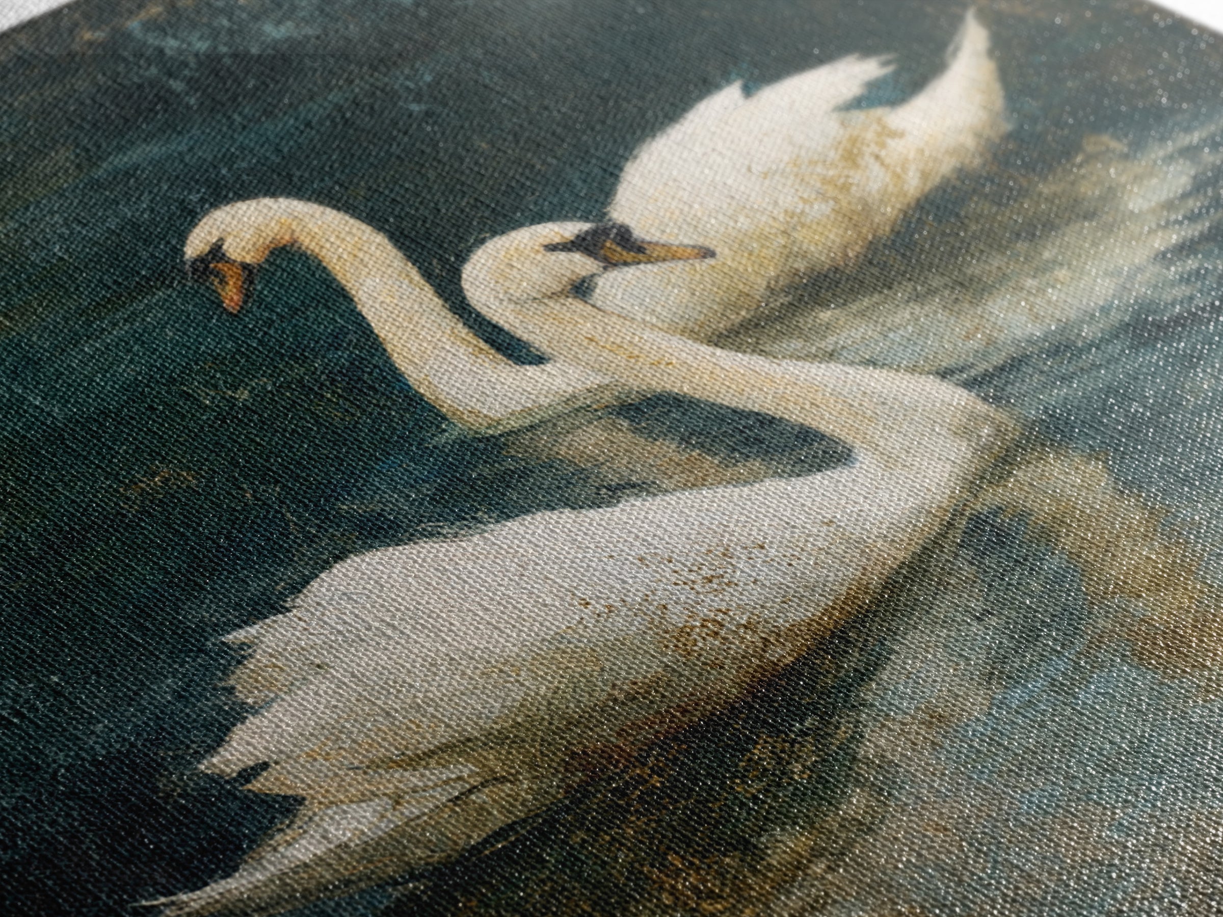 Romantic Swan Pair on Dark Water Framed Canvas Print, Master Bedroom, Neutral Decor, Bedroom Decor, Fine Art, Sanctuary, MAS-1x1-63