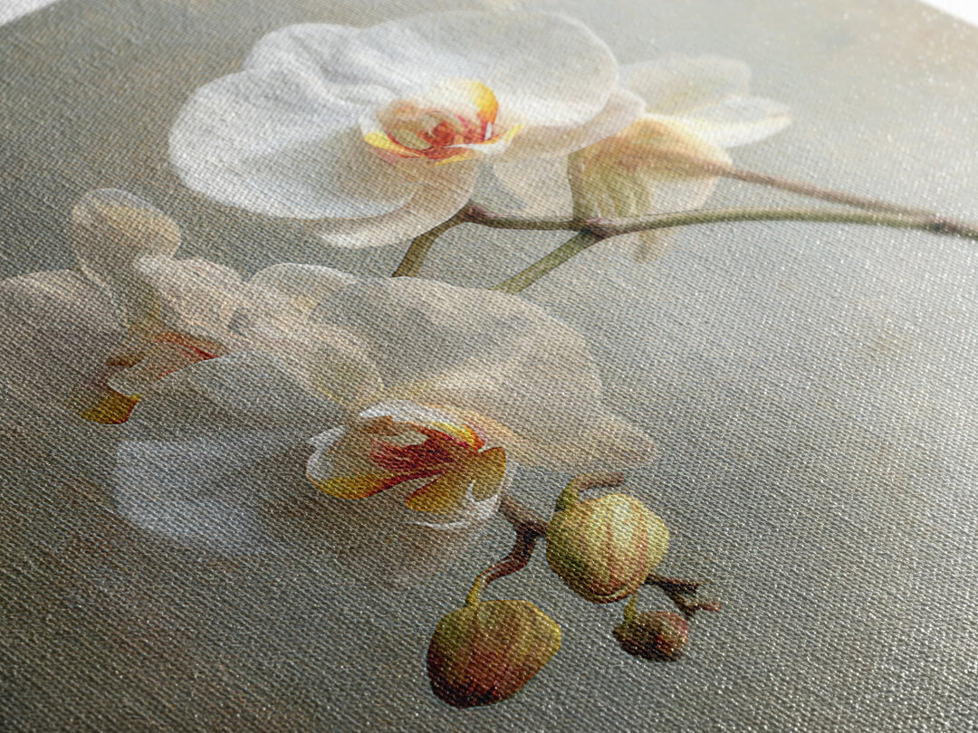White Orchids Against Warm Gray Background Canvas Print, Master Bedroom, Art Print, Bedroom Decor, Fine Art, Sanctuary, MAS-1x1-81