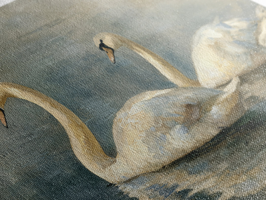 Romantic Swan Pair on Dark Water Framed Canvas Print, Master Bedroom, Living Room Prints, Bedroom Decor, Fine Art, Sanctuary, MAS-2x1-11