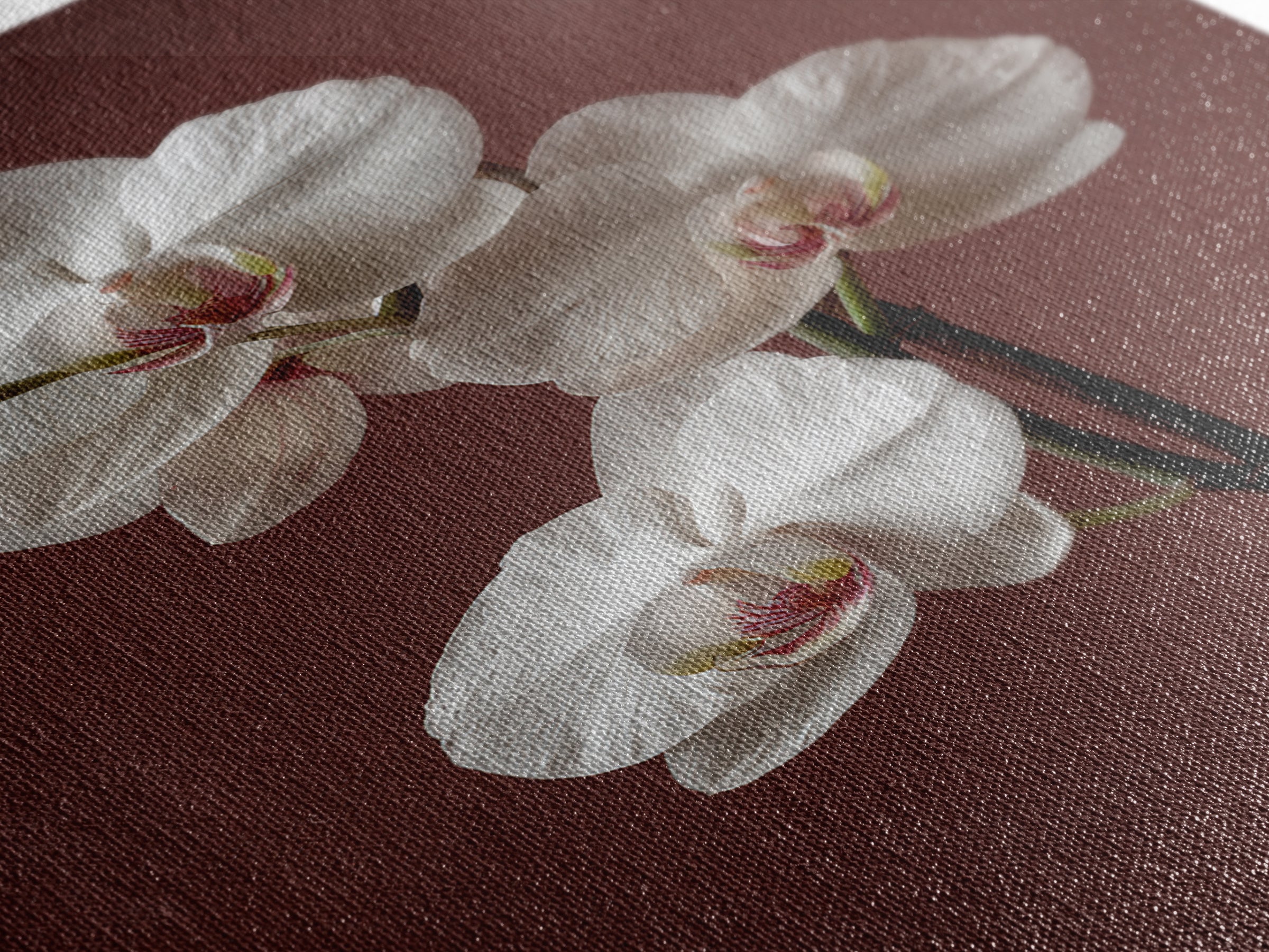 White Orchids Against Warm Gray Background Framed Canvas Print, Master Bedroom, Canvas Print, Bedroom Decor, Abstract Art, MAS-2x3-17
