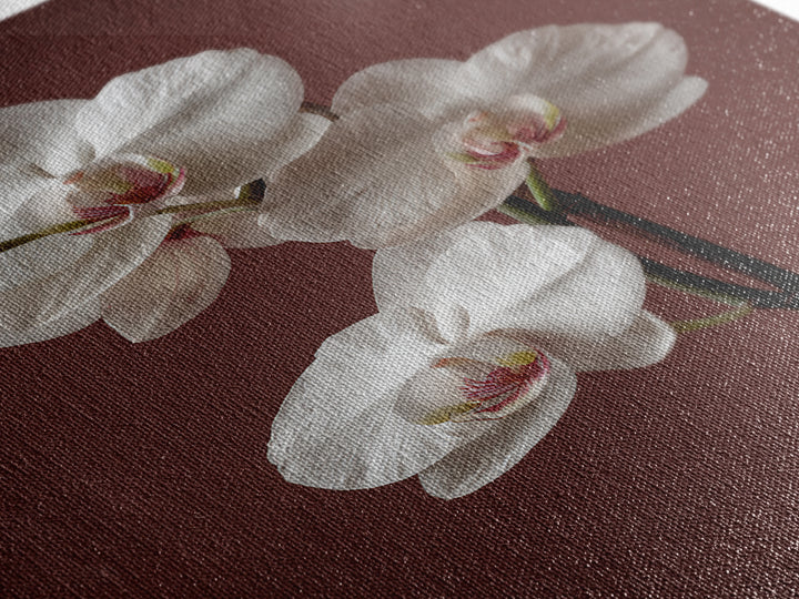 White Orchids Against Warm Gray Background Framed Canvas Print, Master Bedroom, Canvas Print, Bedroom Decor, Abstract Art, MAS-2x3-17