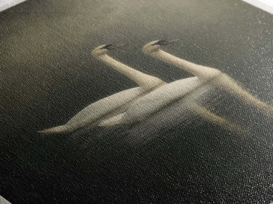 Romantic Swan Pair on Dark Water Canvas Print, Master Bedroom, Large Wall Art, Bedroom Decor, Sanctuary, Bedroom Prints, MAS-2x3-23