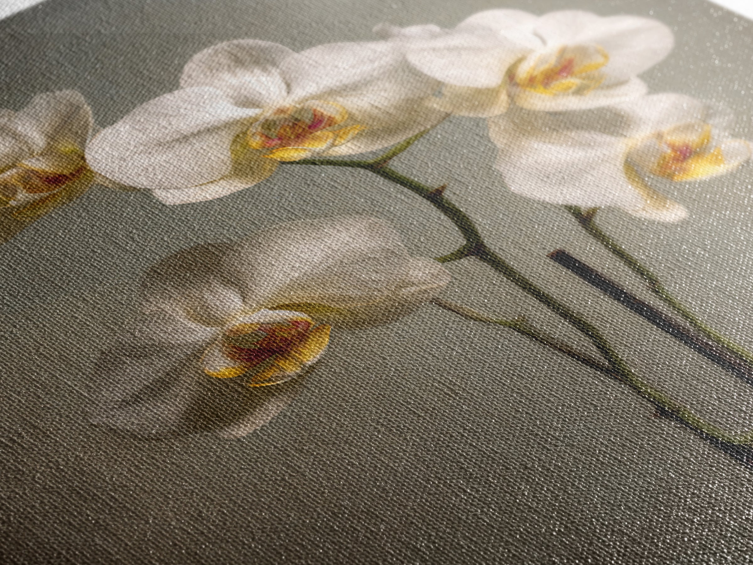 White Orchids Against Warm Gray Background Canvas Print, Master Bedroom, Farmhouse Wall Art, Bedroom Decor, Fine Art, Sanctuary, MAS-2x3-65