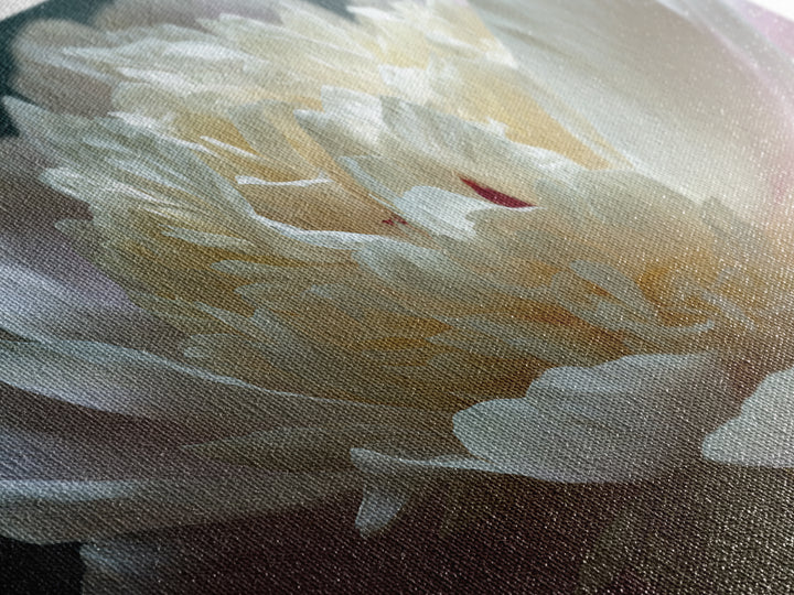 Romantic Neutral Peony Closeup Canvas Print, Master Bedroom, Wall Art Bedroom, Bedroom Decor, Sanctuary, Statement Artwork, MAS-3x2-30