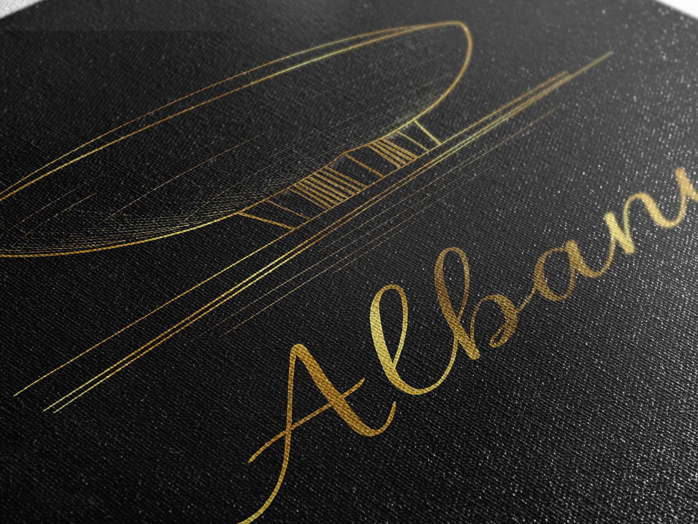 Albany Travel Poster, Framed Canvas Print, Black Gold Minimalist Art, Albany Poster Print, Vintage Travel Print, City Travel Prints