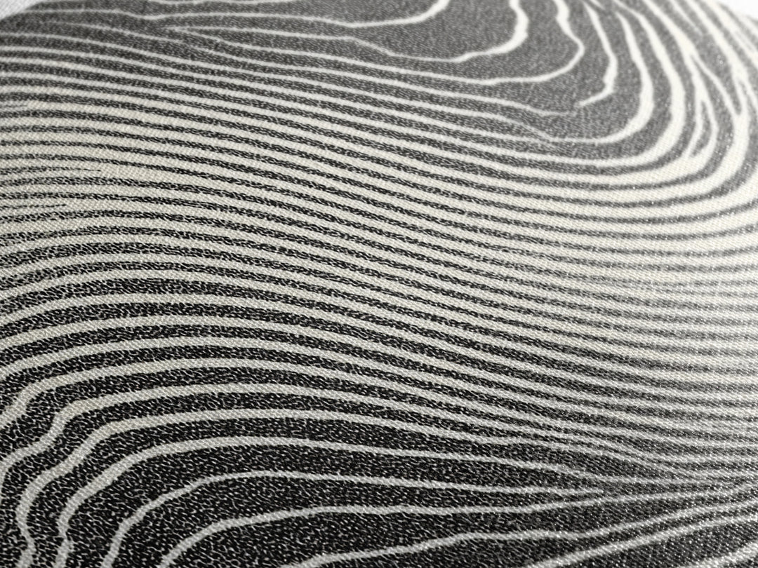 Black White Wavy Topographic Abstract Wall Art, Modern Geometric Line Print, Minimalist Decor, Office Or Bedroom Canvas Print