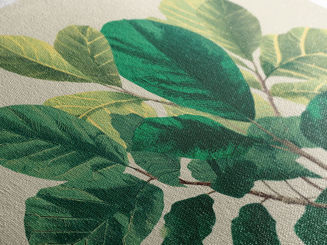 Lush Green Fiddle Leaf Fig Wall Art, Botanical Midcentury Modern Decor, Nature Canvas Print For Living Room Or Office Decor