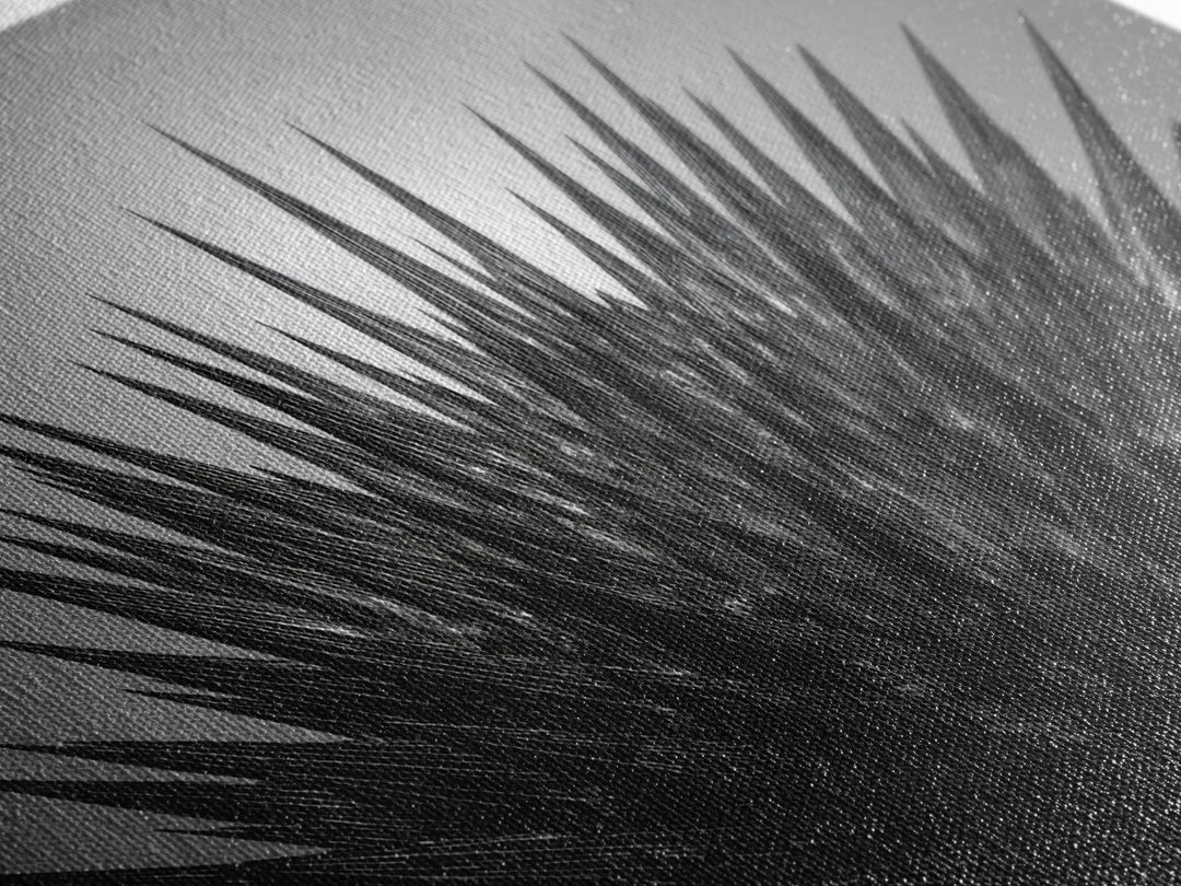 Black Spiky Radial Feather Abstract Wall Art, Monochrome Modern Nature Print, Dramatic Geometric Statement Office Decor