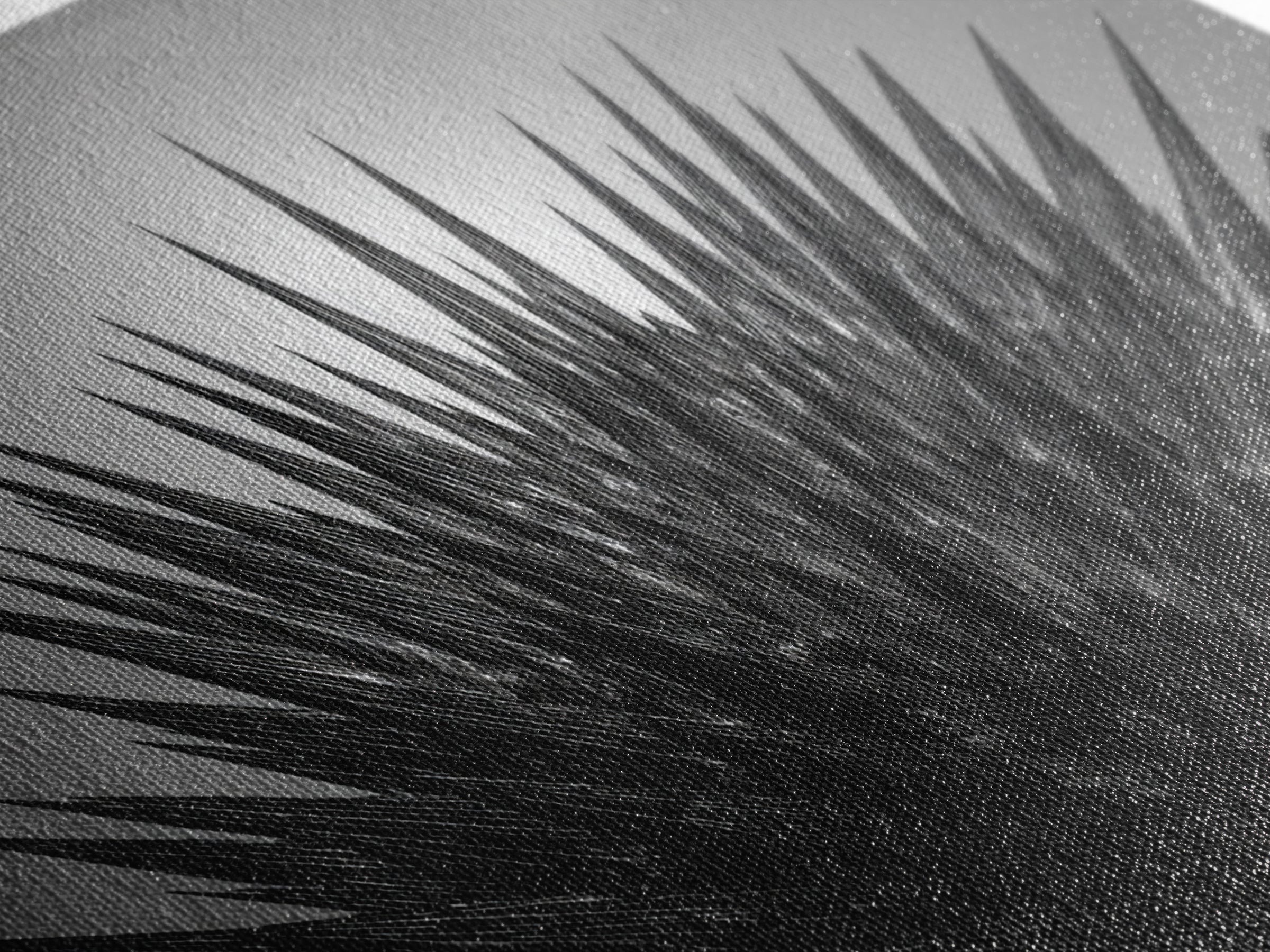 Black Spiky Radial Feather Abstract Wall Art, Monochrome Modern Nature Print, Dramatic Geometric Statement Office Decor