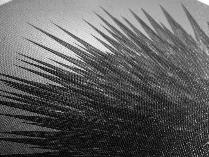 Black Spiky Radial Feather Abstract Wall Art, Monochrome Modern Nature Print, Dramatic Geometric Statement Office Decor