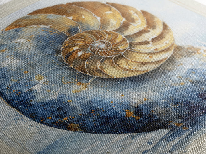 Nautilus Shell Study Canvas Print, Marine Life Art, Beach House Decor, Living Room Decor, Fine Art, Marine, Tropical Wall Art, MLA-1x1-35