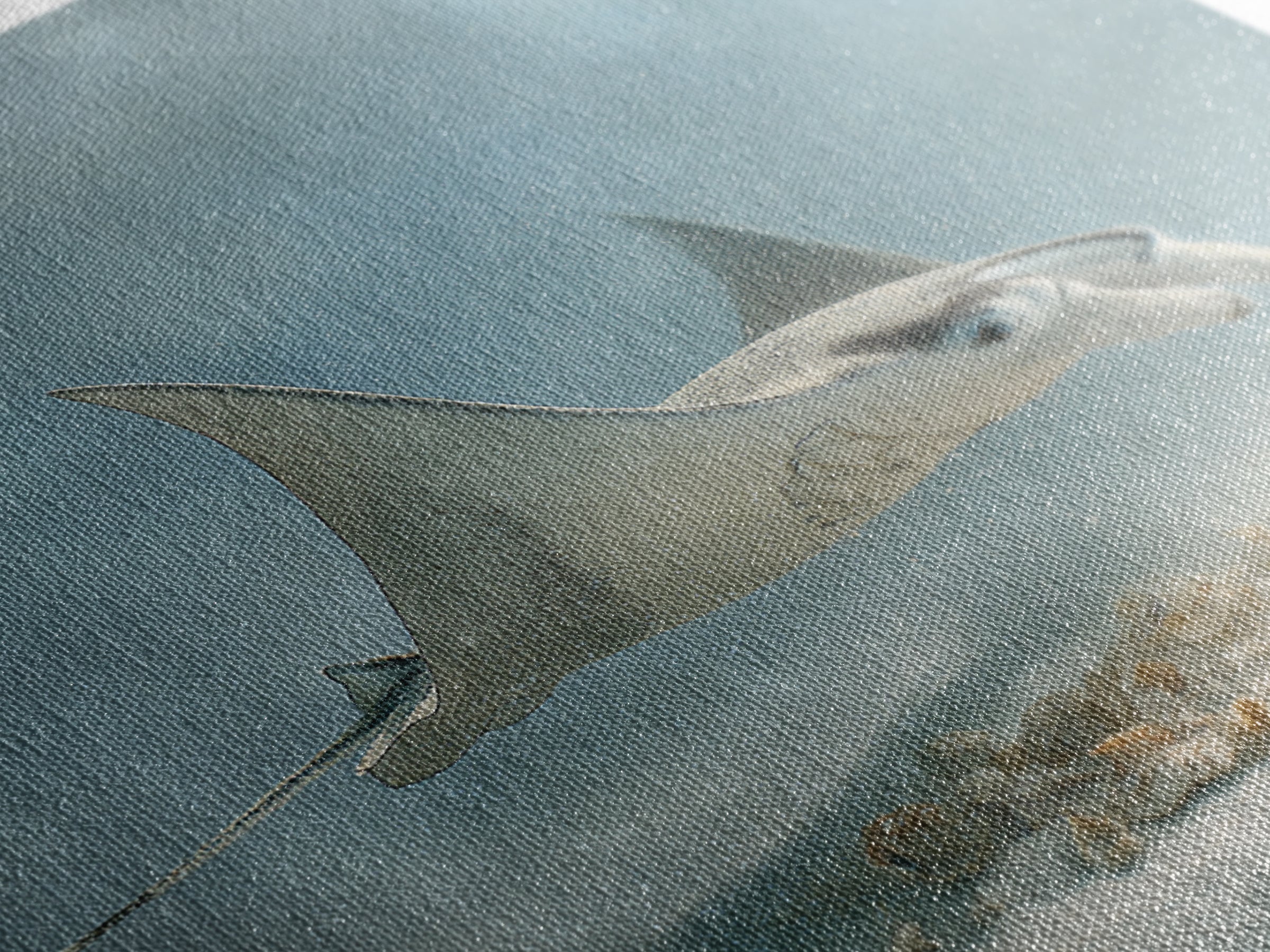 Manta Ray Flying Through Underwater Light Framed Canvas Print, Marine Life Art, Ocean Prints, Living Room Decor, Marine, MLA-1x1-38