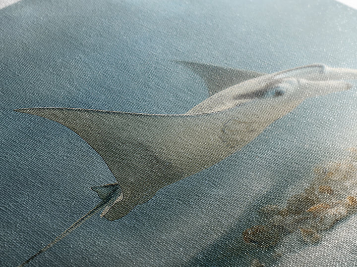 Manta Ray Flying Through Underwater Light Framed Canvas Print, Marine Life Art, Ocean Prints, Living Room Decor, Marine, MLA-1x1-38