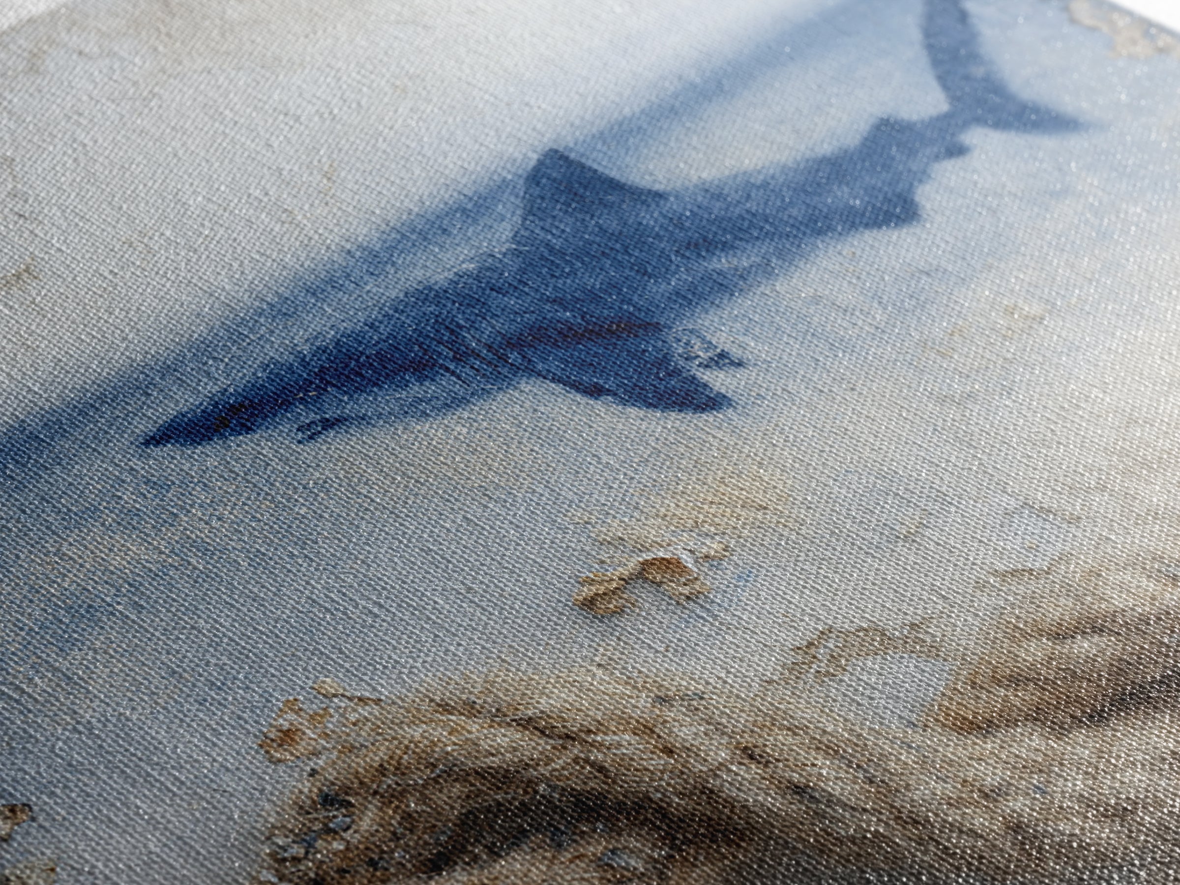 Shark Silhouette in Deep Blue Light Canvas Print, Marine Life Art, Fish Wall Art, Living Room Decor, Fine Art, Marine, MLA-1x1-60