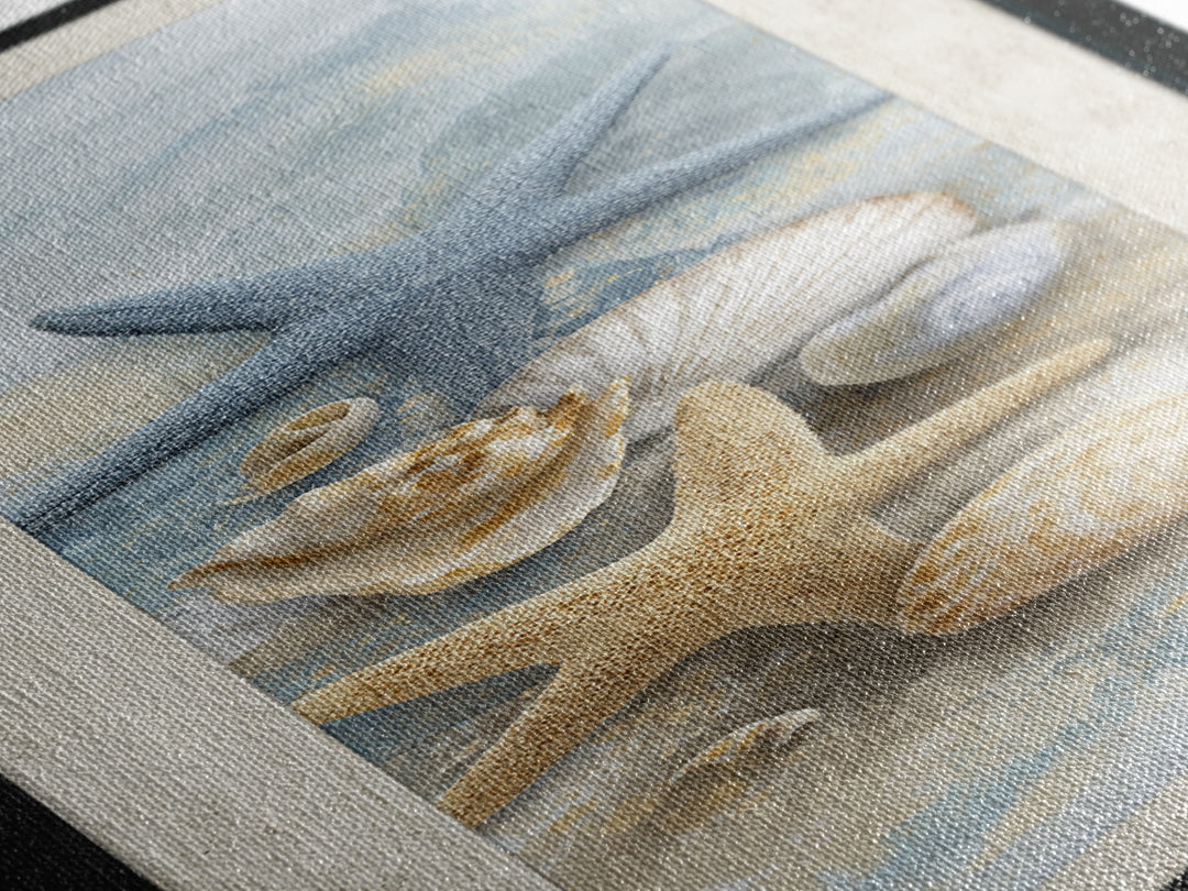 Starfish and Shells Natural Specimen Layout Canvas Print, Marine Life Art, Fine Art Print, Living Room Decor, Fine Art, Marine, MLA-1x3-73