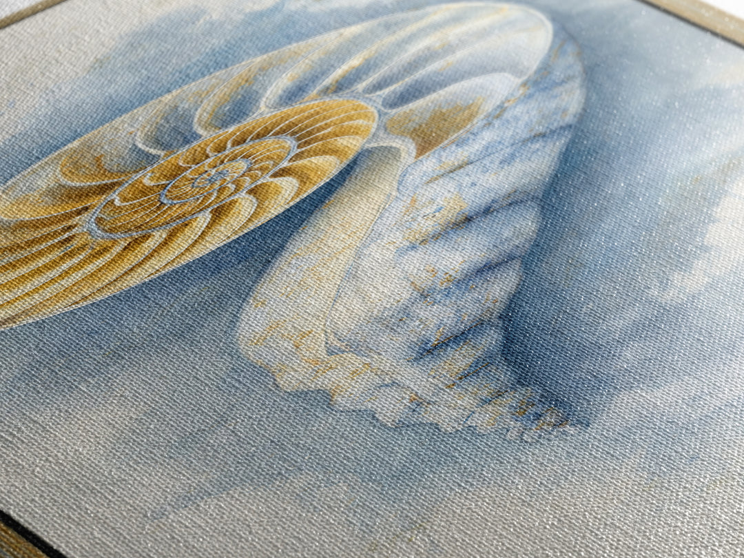 Nautilus Shell Study Canvas Print, Marine Life Art, Coastal Decor, Living Room Decor, Fine Art, Marine, Fish Art, Ocean Decor, MLA-1x3-95