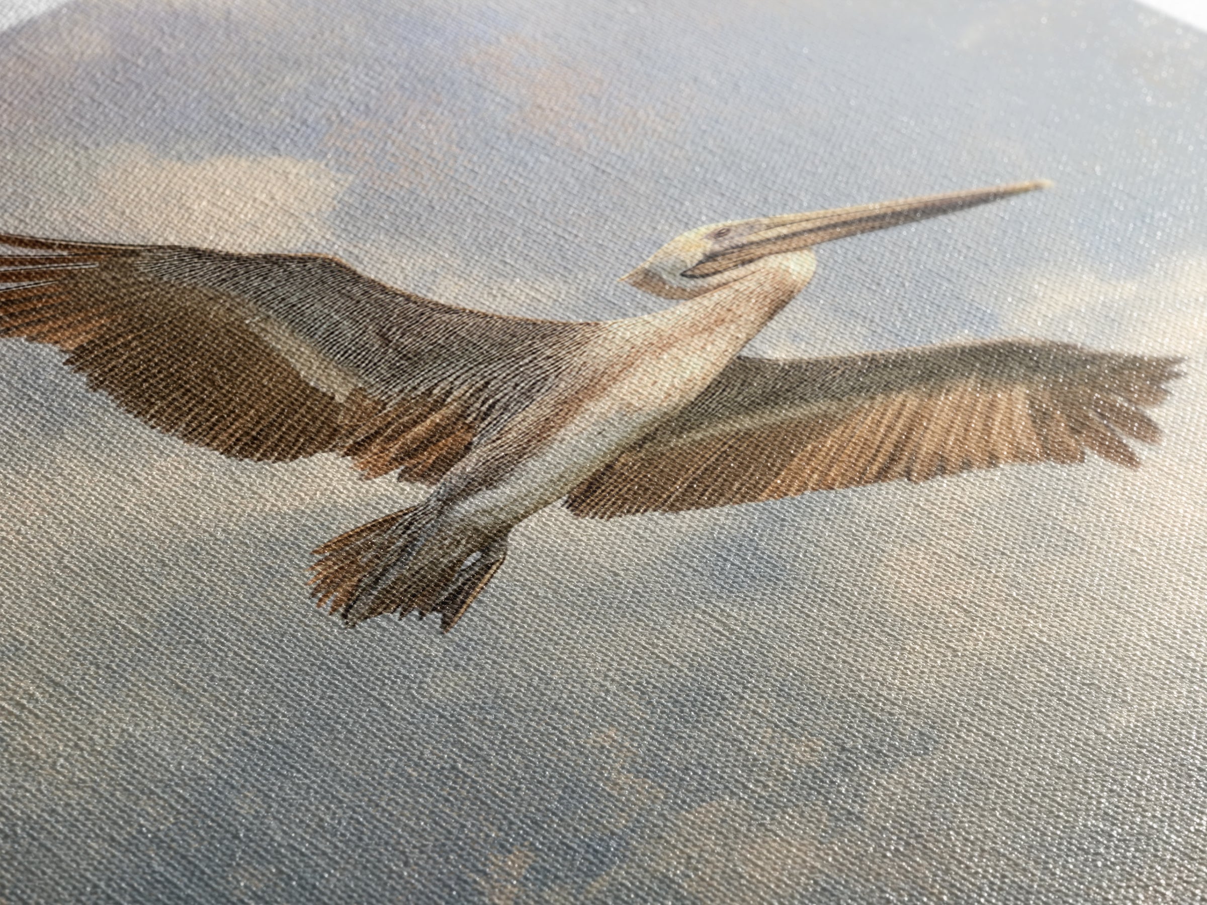 Pelican Diving Toward Fish Near Surface Canvas Print, Marine Life Art, Whale Art, Living Room Decor, Fine Art, Marine, MLA-2x3-79