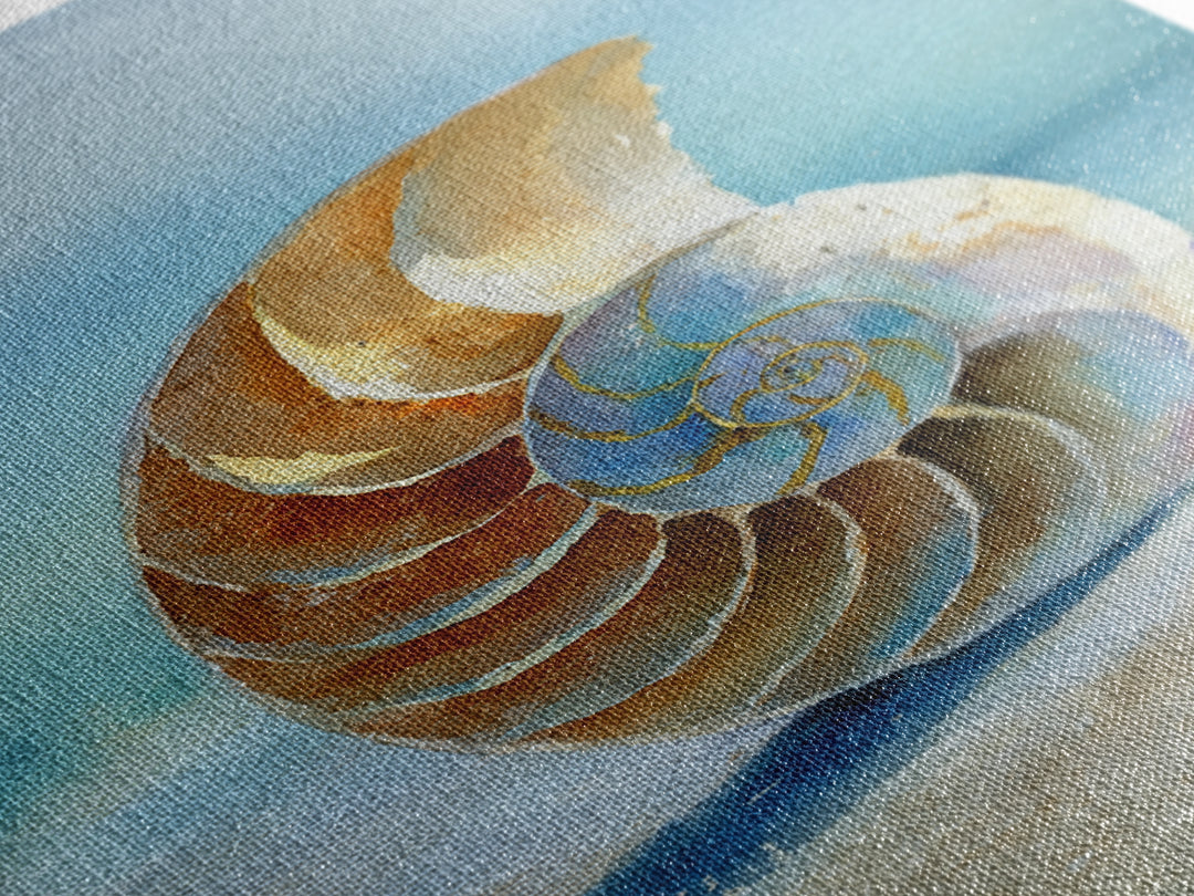Nautilus Shell Study Canvas Print, Marine Life Art, Luxury Decor, Living Room Decor, Fine Art, Marine, Beach Decor, Coastal Art, MLA-2x3-91