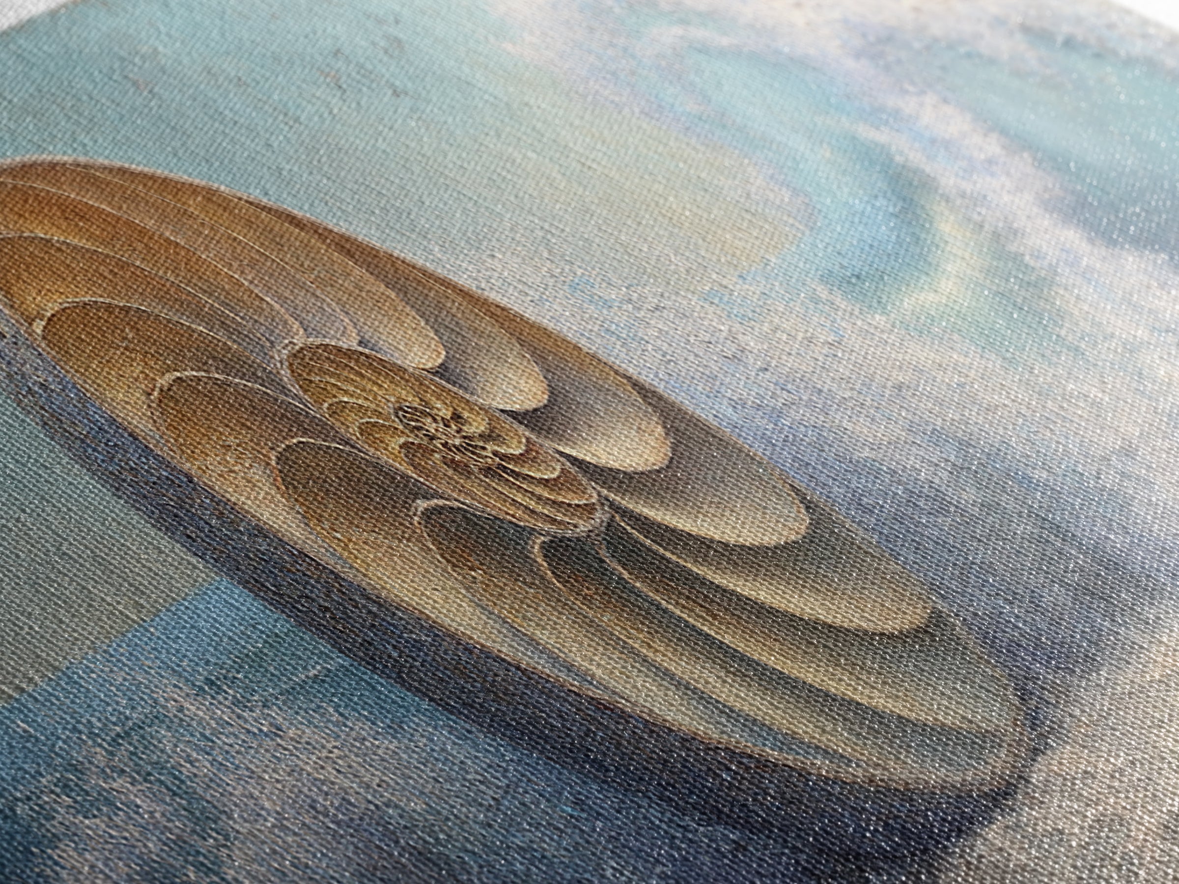 Nautilus Shell Study Canvas Print, Marine Life Art, Nautical Decor, Living Room Decor, Fine Art, Marine, Nautical Wall Decor, MLA-3x1-75