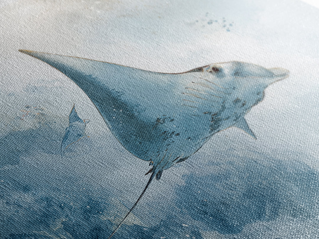 Manta Ray Flying Through Underwater Light Canvas Print, Marine Life Art, Nautical Decor, Living Room Decor, Fine Art, Marine, MLA-3x2-42