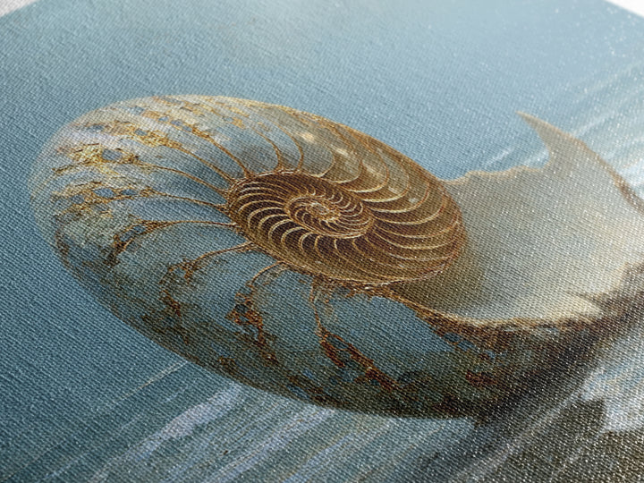 Nautilus Shell Study Framed Canvas Print, Marine Life Art, Neutral Decor, Living Room Decor, Fine Art, Marine, Wall Art, MLA-3x2-63