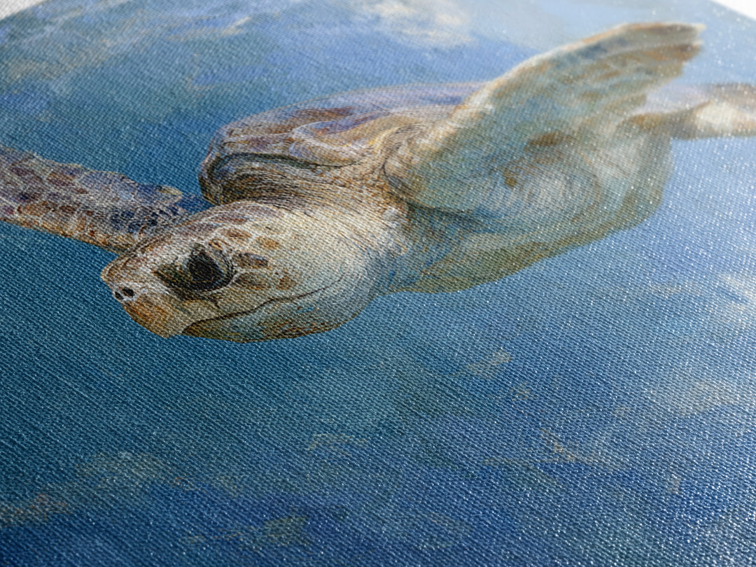 Sea Turtle Gliding Through Clear Blue Water Framed Canvas Print, Marine Life Art, Original Artwork, Living Room Decor, Marine, MLA-3x2-77