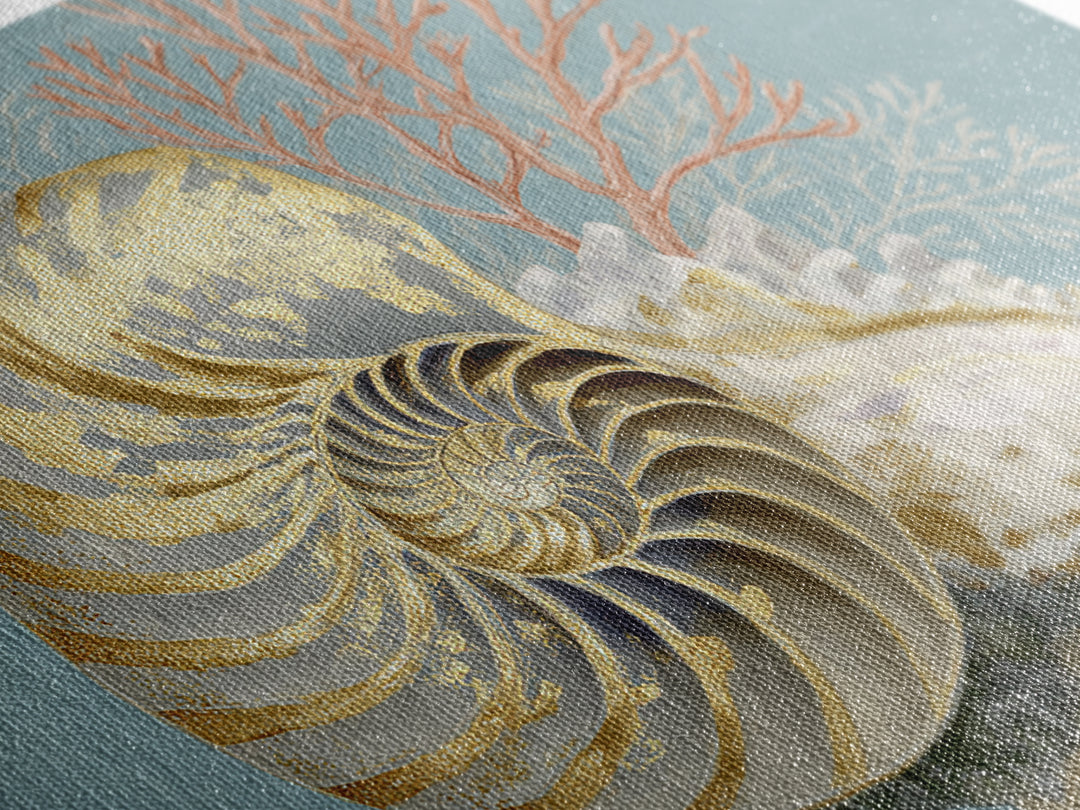 Nautilus Shell Study Framed Canvas Print, Marine Life Art, Ocean Art, Living Room Decor, Fine Art, Marine, Pastel Wall Art, MLA-3x2-87