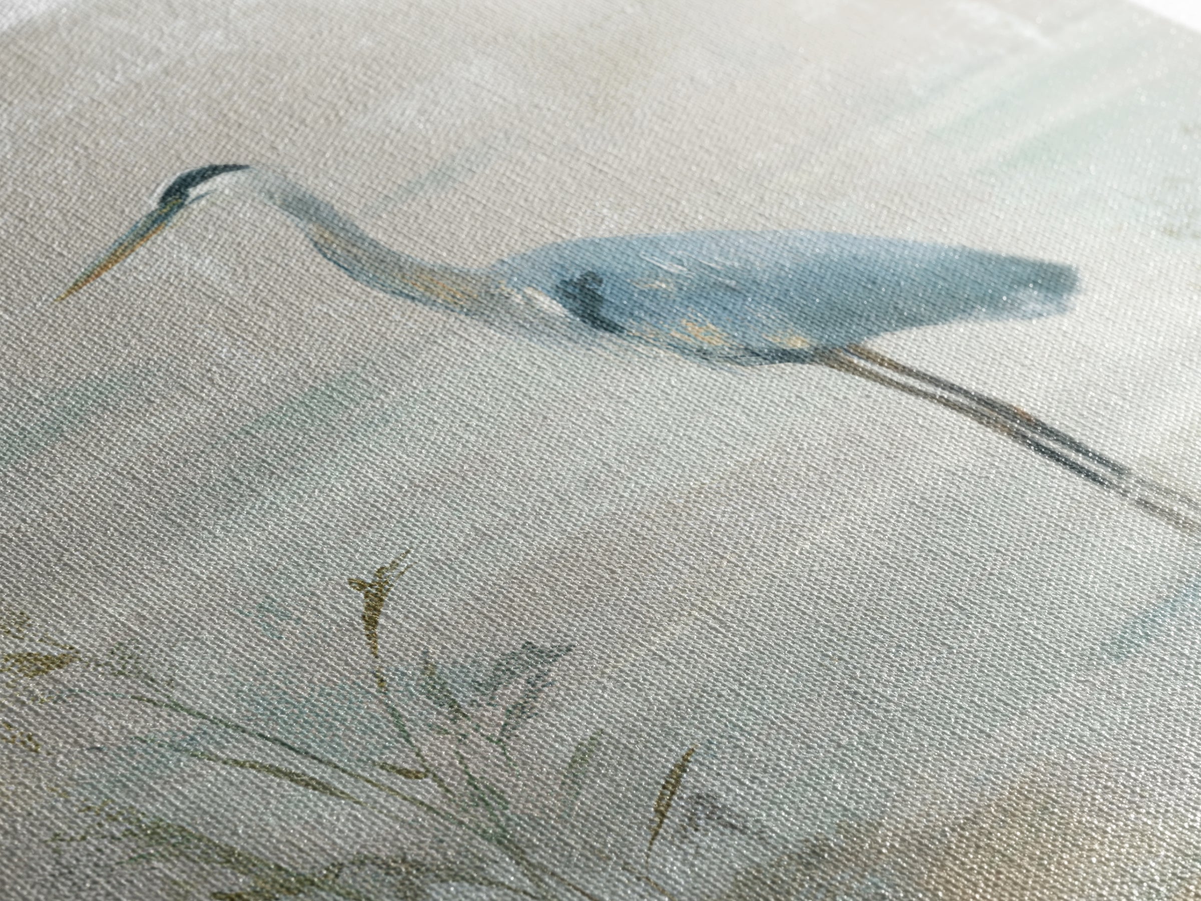 Blue Heron Standing Canvas Print, Medical Office Art, Educational Poster, Office Decor, Fine Art, Calm, Fine Art Print, MOA-1x1-14