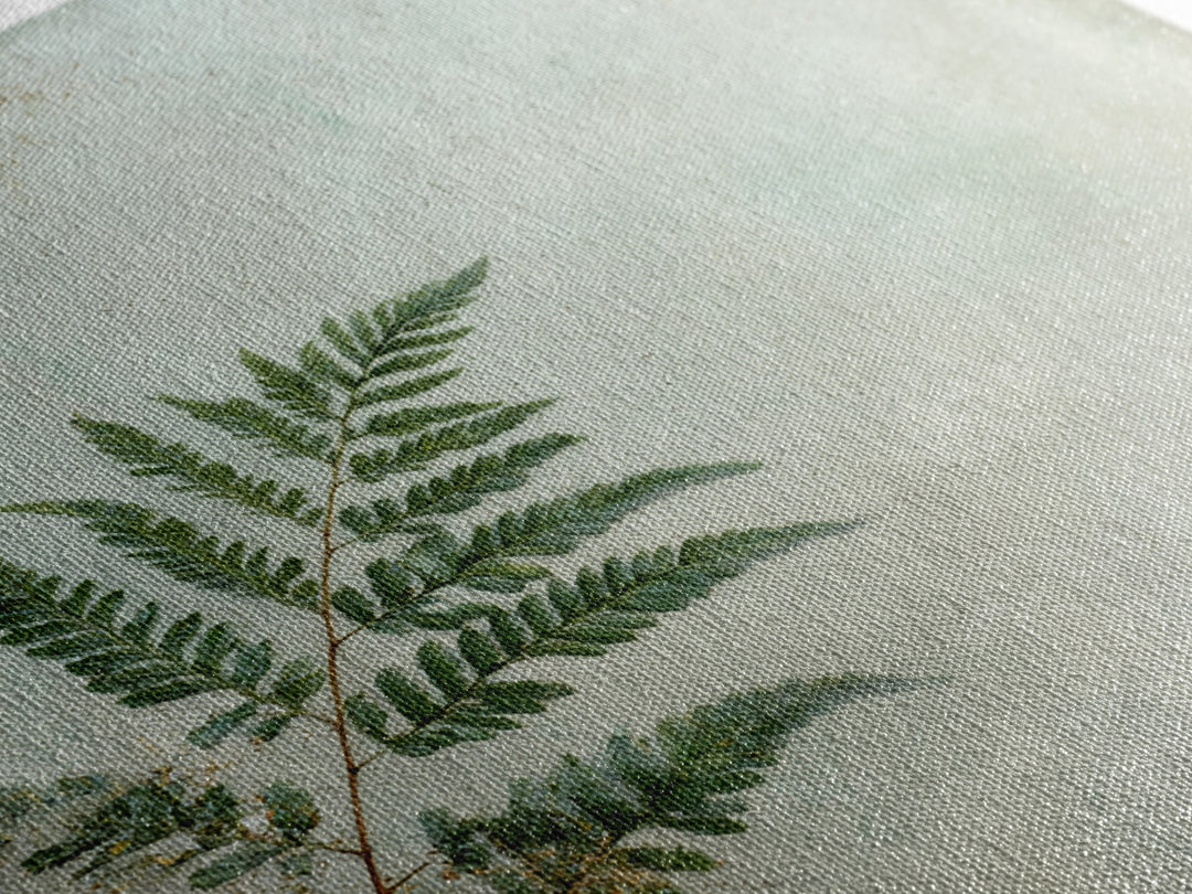 Minimal Green Fern Specimen Framed Canvas Print, Medical Office Art, Gallery Decor, Office Decor, Fine Art, Calm, MOA-1x1-32
