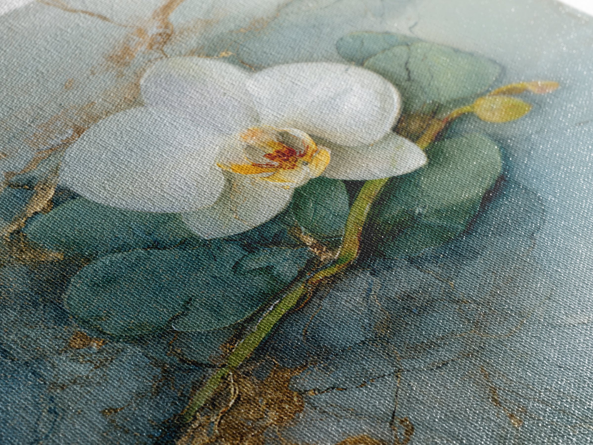 White Orchid on Gray Stone Surface Canvas Print, Medical Office Art, School Nurse Art, Office Decor, Oil Painting, Calm, MOA-1x1-54
