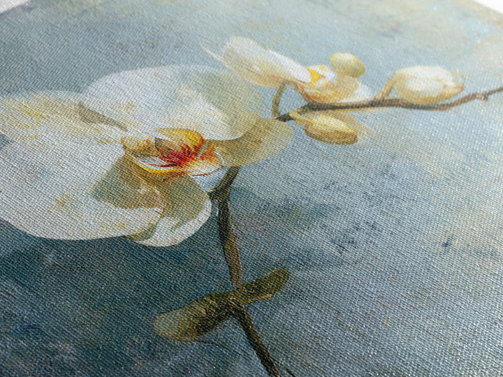 White Orchid on Gray Stone Surface Framed Canvas Print, Medical Office Art, Medical Wall Art, Office Decor, Fine Art, Calm, MOA-1x1-6