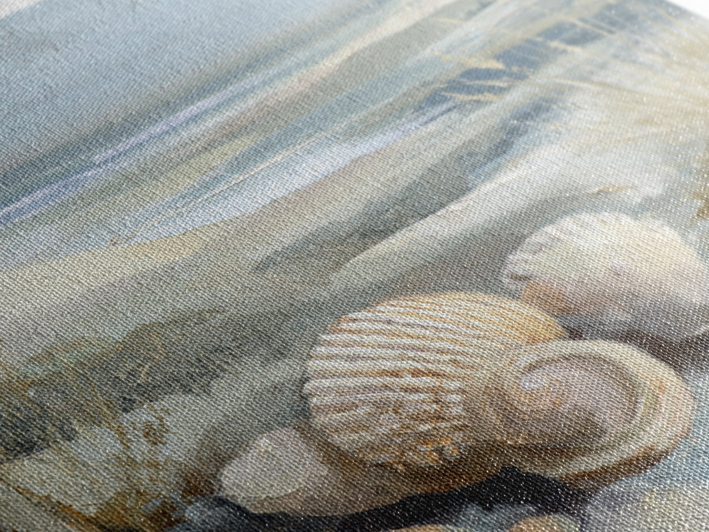 Coastal Shells and Water Study Framed Canvas Print, Medical Office Art, Anatomy Art, Office Decor, Calm, Statement Artwork, MOA-1x1-68