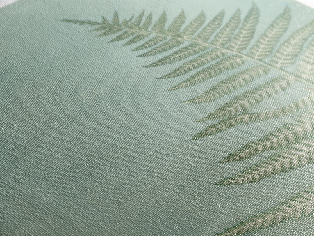 Minimal Green Fern Specimen Framed Canvas Print, Medical Office Art, Modern Decor, Office Decor, Fine Art, Calm, Home Decor, MOA-1x1-80