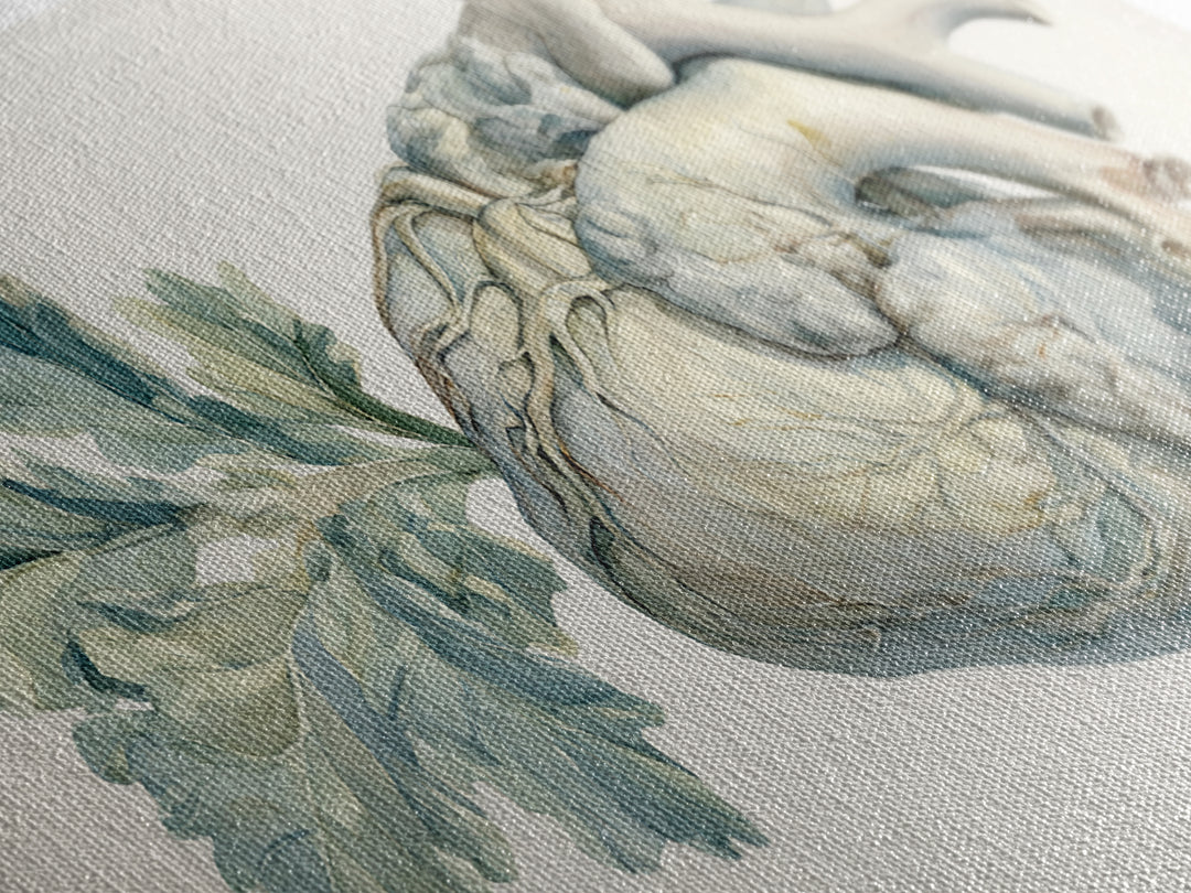 Anatomical Heart Rendered as Tasteful Botanical Art Canvas Print, Medical Office Art, Minimalist Art, Office Decor, Calm, MOA-2x1-81