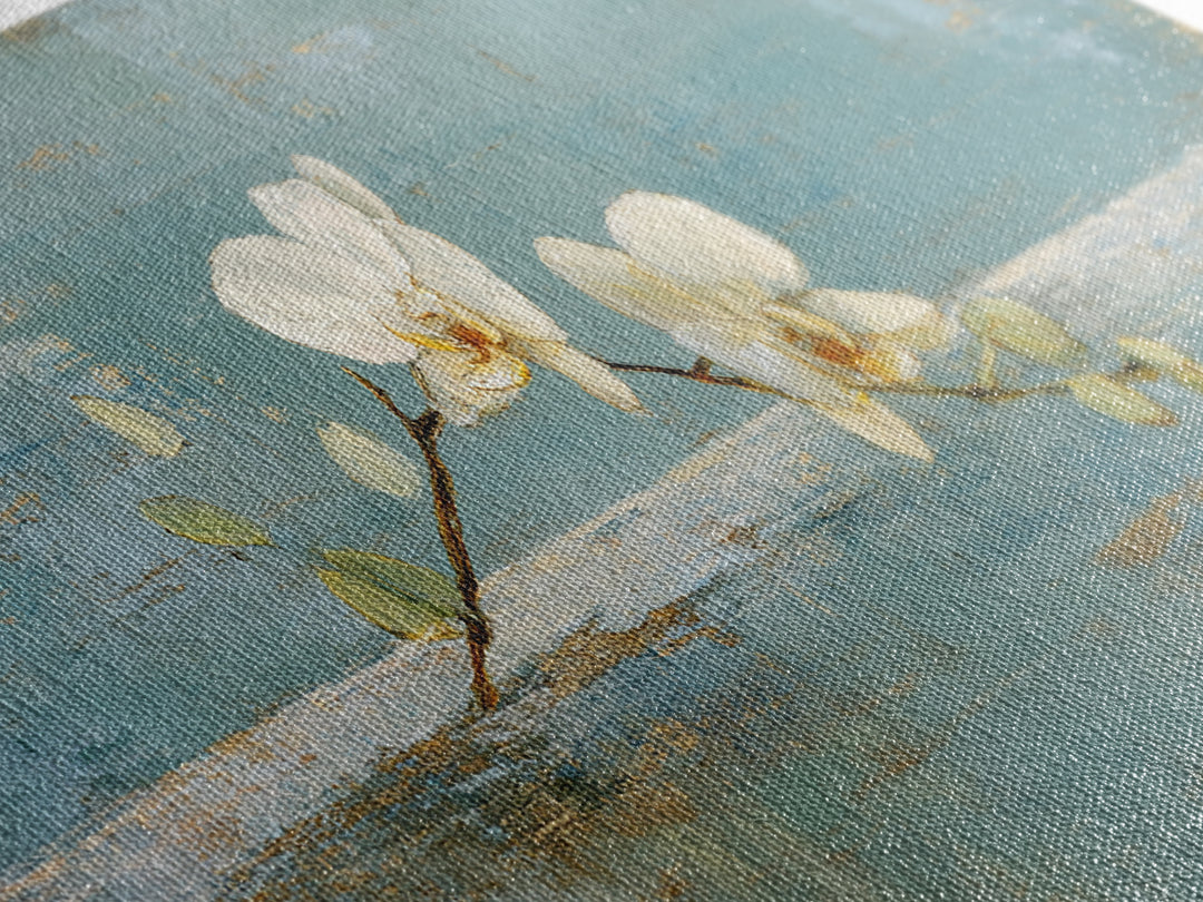 White Orchid on Gray Stone Surface Canvas Print, Medical Office Art, Printable Wall Art, Office Decor, Fine Art, Calm, MOA-2x1-98