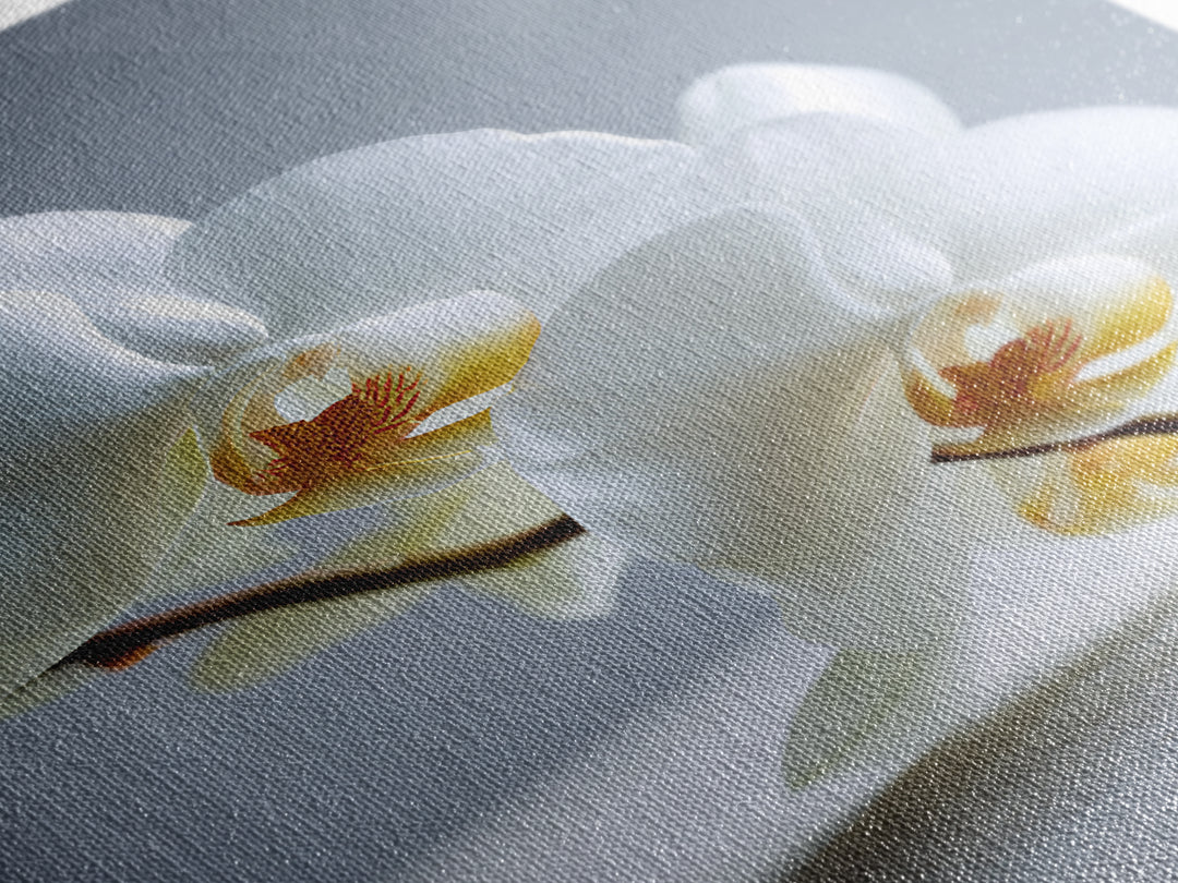 White Orchid on Gray Stone Surface Canvas Print, Medical Office Art, Art Print, Office Decor, Oil Painting, Calm, Printable Art, MOA-2x3-14