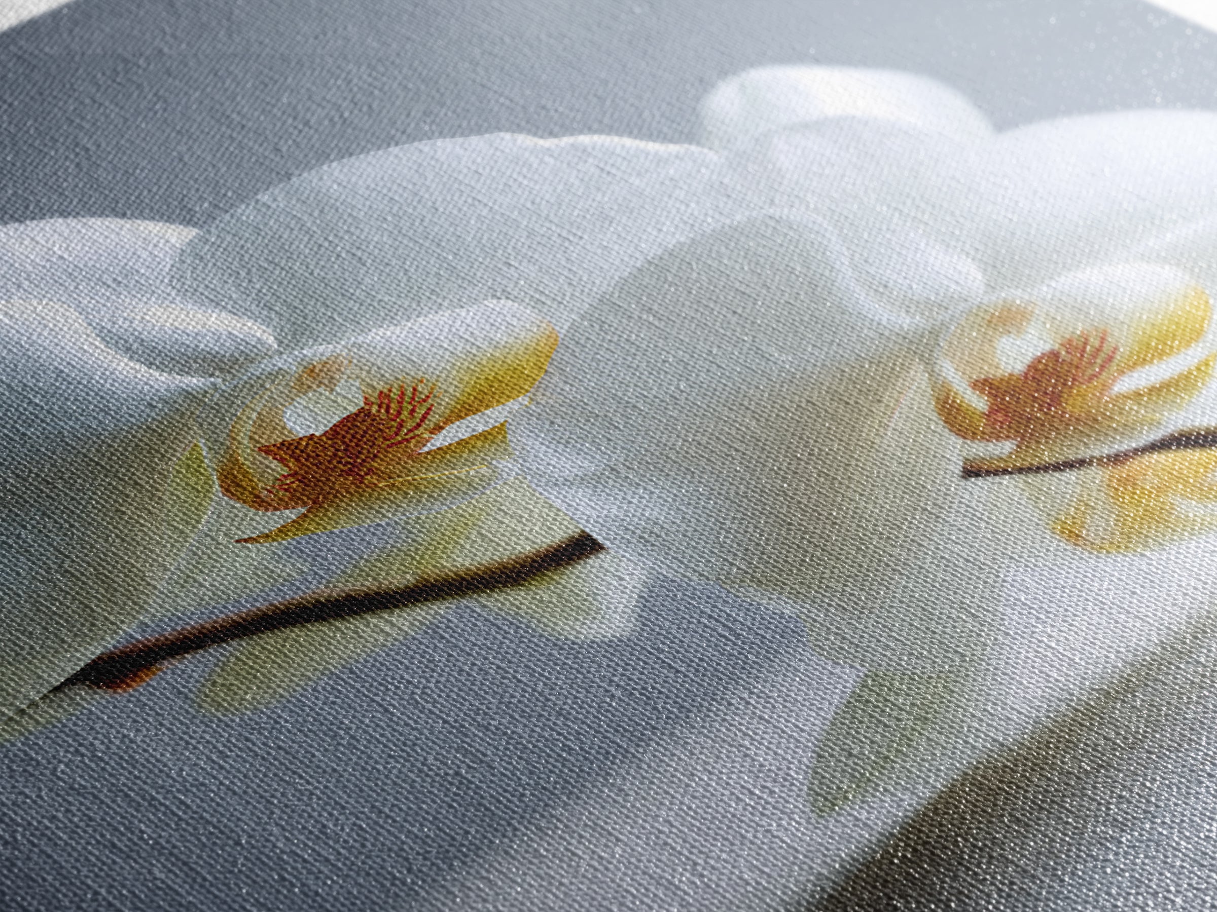 White Orchid on Gray Stone Surface Canvas Print, Medical Office Art, Art Print, Office Decor, Oil Painting, Calm, Printable Art, MOA-2x3-14