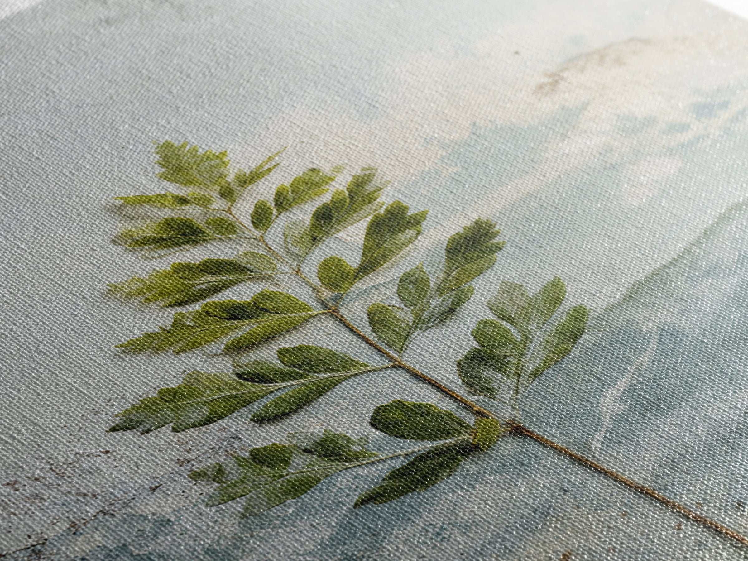 Minimal Green Fern Specimen Canvas Print, Medical Office Art, Anatomy Art, Office Decor, Fine Art, Calm, Statement Artwork, MOA-2x3-16
