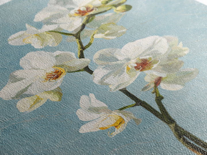 White Orchid on Gray Stone Surface Canvas Print, Medical Office Art, Digital Wall Art, Office Decor, Calm, Healthcare Wall Art, MOA-2x3-62